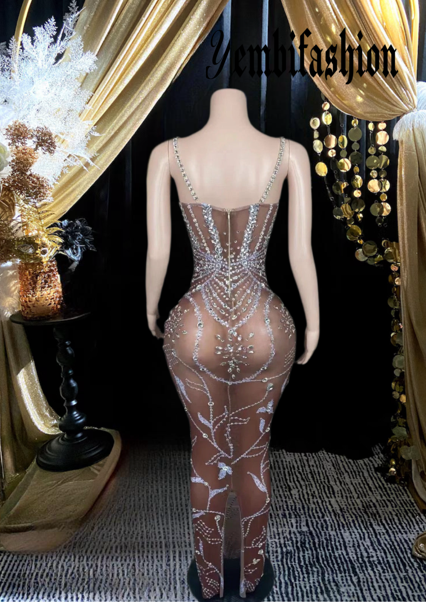 Elegant Transparent Long Mesh Dress