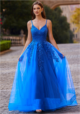 A-line tulle prom dress with intricate applique details, featuring a flowing tulle skirt and a fitted bodice, perfect for formal occasions and special events