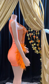 A vibrant Orange Feather Halter Rhinestone Applique Birthday Dress with a halter neckline, feather accents, and sparkling rhinestone applique, ideal for special occasions like birthdays and parties.