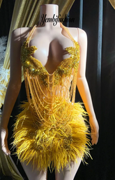 A gold crystal rhinestone birthday party dress with intricate crystal detailing, perfect for glamorous events like birthdays or cocktail parties.