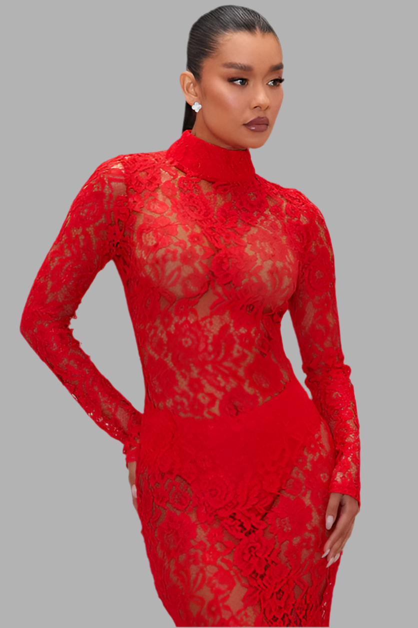 Émilie Maxi Lace Dress – Elegant Long Lace Gown