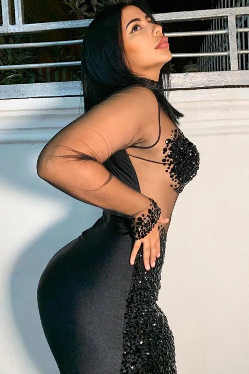 A sleek black bodycom dress with mesh detailing, highlighting a form-fitting silhouette for an elegant and sophisticated look.