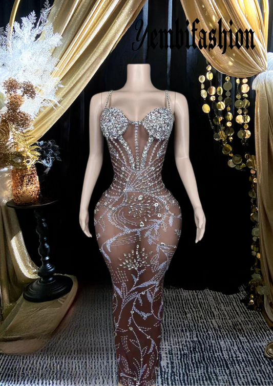 Elegant Transparent Long Mesh Dress