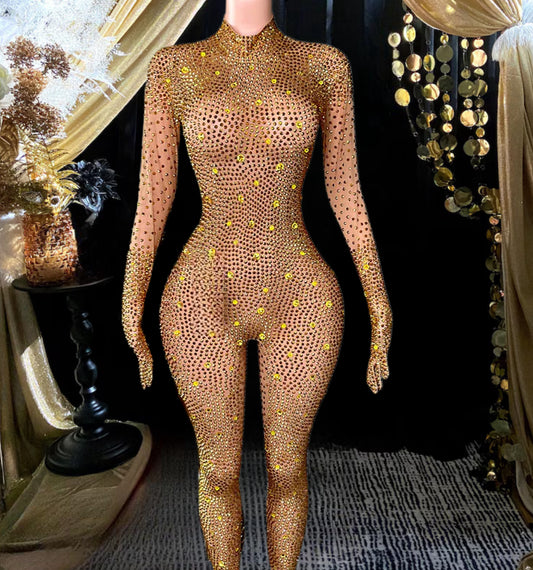 A long sleeve sequined bodysuit with shimmering details, showcasing a form-fitting design ideal for parties or stylish occasions.